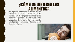 ¿CÓMO SE DIGIEREN LOS
ALIMENTOS?• La digestión comprende la mezcla de los
alimentos, su paso a través del tracto
digestivo y la descomposición química de las
moléculas grandes en moléculas más
pequeñas. Comienza en la boca, cuando
masticamos y comemos, y termina en el
intestino delgado.
 