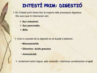 INTEST Í PRIM: DIGESTIÓ Suc intestinal . Suc pancre àtic. Com a  resultat de la digesti ó  en el duodé s’obtenen: En l’intest í prim tenen lloc la majoria dels processos digestius.  Els  sucs  que hi intervenen són: Bilis Monosac àrids Glicerina  i  àcids grassos Amino àcids Juntament amb l’aigua, sals minerals i vitamines constitueixen el  quil. 