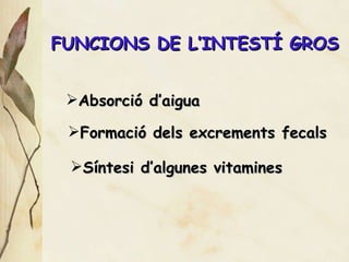 FUNCI ONS DE L’INTESTÍ GROS Absorci ó d’aigua Formaci ó dels excrements fecals S íntesi d’algunes vitamines 