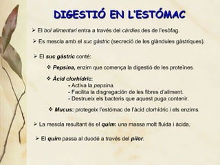 DIGESTI Ó EN L’ESTÓMAC El  bol alimentari  entra a trav és del  càrdies  des de l’esòfag. Es mescla amb el  suc g àstric  (secreció de les glàndules gàstriques). El  suc gàstric  conté: Mucus :  protegeix l’est ómac  de l’àcid clorhídric i els enzims . Pepsina ,  enzim que comença la digestió de les proteïnes . Àcid clorhídric : -  Activa la  pepsina .  - Facilita la disgregación de les fibres d’aliment. - Destrueix els bacteris que aquest puga contenir. La mescla resultant  és  el  quim :  una massa molt fluida i  àcida . El  quim  passa al duod é a través del  pílor . 