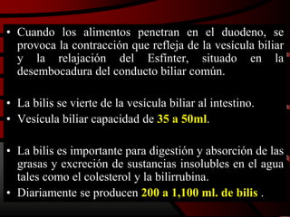 • Cuando los alimentos penetran en el duodeno, se
provoca la contracción que refleja de la vesícula biliar
y la relajación del Esfínter, situado en la
desembocadura del conducto biliar común.
• La bilis se vierte de la vesícula biliar al intestino.
• Vesícula biliar capacidad de 35 a 50ml.
• La bilis es importante para digestión y absorción de las
grasas y excreción de sustancias insolubles en el agua
tales como el colesterol y la bilirrubina.
• Diariamente se producen 200 a 1,100 ml. de bilis .
 