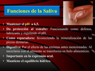 Funciones de la Saliva
• Mantener el pH a 6,5.
• Da protección al esmalte: Funcionando como defensa,
lubricante y regulando el pH.
• Como reparadora: favoreciendo la mineralización de las
piezas dentarias.
• Digestiva: Por el efecto de las enzimas antes mencionadas. Al
mezclarse con el alimento se transforma en bolo alimenticio.
• Importante en la expresión oral.
• Mantiene el equilibrio hídrico.
 