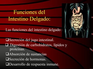 Funciones del
Intestino Delgado:
Las funciones del intestino delgado son:
Secreción del jugo intestinal.
 Digestión de carbohidratos, lípidos y
proteínas.
Absorción de sustancias
Secreción de hormonas.
Desarrollo de respuesta inmune.
 