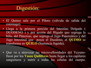 Digestión:
• El Quimo sale por el Píloro (válvula de salida del
estómago)
• Llega a la primera porción del Intestino Delgado (
DUODENO ) y por acción del Hígado que segrega la
bilis, del Páncreas, que segrega el Jugo Pancreático y del
Jugo Intestinal que posee el Duodeno, el QUIMO se
transforma en QUILO (Sustancia líquida).
• Que va a atravesar las microvellosidades del Yeyuno-
Ileon por los Vasos Quilíferos hasta llegar a los capilares
sanguíneos y nutrir a todas las células del cuerpo.
 