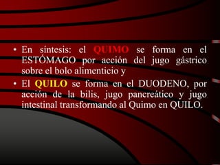• En síntesis: el QUIMO se forma en el
ESTÓMAGO por acción del jugo gástrico
sobre el bolo alimenticio y
• El QUILO se forma en el DUODENO, por
acción de la bilis, jugo pancreático y jugo
intestinal transformando al Quimo en QUILO.
 