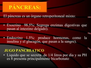 El páncreas es un órgano retroperitoneal mixto:
• Exocrino 98.5%: Segrega enzimas digestivas que
pasan al intestino delgado).
• Endocrino 1.5%: produce hormonas, como la
insulina y el glucagón, que pasan a la sangre).
JUGO PANCREATICO
• Liquido que se secreta de 1/4 litros por dia y su PH
es 8 presenta principalmente bicarbonato
PÁNCREAS:
 