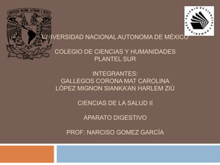 UNIVERSIDAD NACIONAL AUTONOMA DE MÉXICO
COLEGIO DE CIENCIAS Y HUMANIDADES
PLANTEL SUR

INTEGRANTES:
GALLEGOS CORONA MAT CAROLINA
LÓPEZ MIGNON SIANKA’AN HARLEM ZIÚ
CIENCIAS DE LA SALUD II
APARATO DIGESTIVO
PROF: NARCISO GOMEZ GARCÍA

 