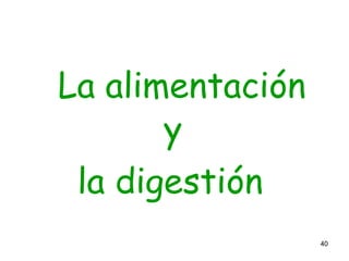 40
La alimentación
y
la digestión
 