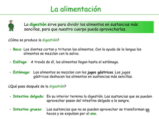 45
La digestión sirve para dividir los alimentos en sustancias más
sencillas, para que nuestro cuerpo pueda aprovecharlas.
La alimentación
¿Cómo se produce la digestión?
- Boca:
- Esófago:
Los dientes cortan y trituran los alimentos. Con la ayuda de la lengua los
alimentos se mezclan con la saliva.
A través de él, los alimentos llegan hasta el estómago.
- Estómago:
- Intestino delgado:
Los alimentos se mezclan con los jugos gástricos. Los jugos
gástricos deshacen los alimentos en sustancias más sencillas.
En su interior termina la digestión. Las sustancias que se pueden
aprovechar pasan del intestino delgado a la sangre.
- Intestino grueso: Las sustancias que no se pueden aprovechar se transforman en
heces y se expulsan por el ano.
¿Qué pasa después de la digestión?
 