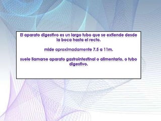 APARATO DIGESTI ANATOMIA para la clase.pptx