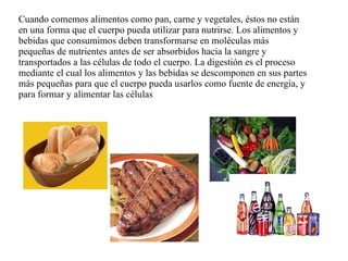 Cuando comemos alimentos como pan, carne y vegetales, éstos no están en una forma que el cuerpo pueda utilizar para nutrirse. Los alimentos y bebidas que consumimos deben transformarse en moléculas más pequeñas de nutrientes antes de ser absorbidos hacia la sangre y transportados a las células de todo el cuerpo. La digestión es el proceso mediante el cual los alimentos y las bebidas se descomponen en sus partes más pequeñas para que el cuerpo pueda usarlos como fuente de energía, y para formar y alimentar las células 