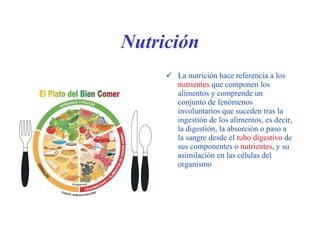 Nutrición La nutrición hace referencia a los  nutrientes  que componen los alimentos y comprende un conjunto de fenómenos involuntarios que suceden tras la ingestión de los alimentos, es decir, la digestión, la absorción o paso a la sangre desde el  tubo digestivo  de sus componentes o  nutrientes , y su asimilación en las células del organismo 