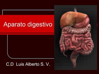 Aparato digestivo
C.D Luis Alberto S. V.
 