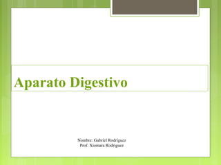Aparato Digestivo
Nombre: Gabriel Rodríguez
Prof. Xiomara Rodríguez
 