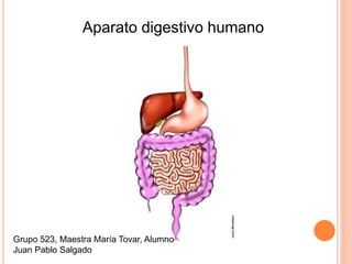 Aparato digestivo humano
Grupo 523, Maestra María Tovar, Alumno
Juan Pablo Salgado
 