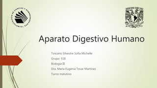 Aparato Digestivo Humano
Toscano Silvestre Sofía Michelle
Grupo: 518
Biología III
Dra. María Eugenia Tovar Martínez
Turno matutino
 