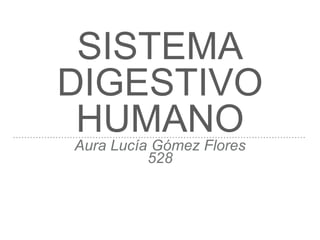 SISTEMA
DIGESTIVO
HUMANOAura Lucía Gómez Flores
528
 