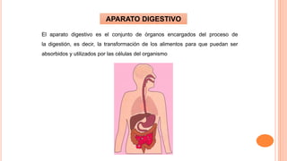 El aparato digestivo es el conjunto de órganos encargados del proceso de
la digestión, es decir, la transformación de los alimentos para que puedan ser
absorbidos y utilizados por las células del organismo
APARATO DIGESTIVO
 
