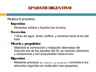 APARATO DIGESTIVO

Realiza 6 procesos:
 Ingestión

       Alimentos sólidos y líquidos por la boca
   Secreción
      ...