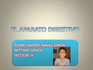 PEDRO ANDRES NAVAS GIRON
SEPTIMO GRADO
SECCION A
 