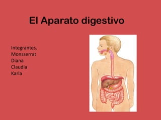 El Aparato digestivo

Integrantes.
Monsserrat
Diana
Claudia
Karla
 