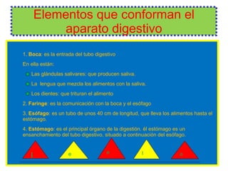 Elementos que conforman el aparato digestivo 1.  Boca : es la entrada del tubo digestivo En ella están: Las glándulas salivares: que producen saliva. La  lengua que mezcla los alimentos con la saliva. Los dientes: que trituran el alimento 2.  Faringe : es la comunicación con la boca y el esófago 3.  Esófago : es un tubo de unos 40 cm de longitud, que lleva los alimentos hasta el estómago. 4.  Estómago : es el principal órgano de la digestión. él estómago es un ensanchamiento del tubo digestivo, situado a continuación del esófago. l l e e o 