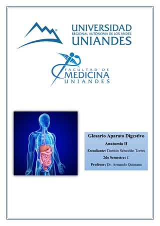Glosario Aparato Digestivo
Anatomía II
Estudiante: Damián Sebastián Torres
2do Semestre: C
Profesor: Dr. Armando Quintana
 