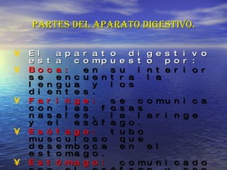 Partes del aparato digestivo. El aparato digestivo esta compuesto por: Boca:  en su interior se encuentra la lengua y los dientes. Faringe:  se comunica con las fosas nasales, la laringe y el esófago. Esófago:  tubo musculoso que desemboca en el estomago. Estómago:  comunicado con el esófago y con el intestino. Intestino delgado:  tubo dividido en tres tramos: duodeno, yeyuno, e ileón. Intestino grueso:  compuesto por el ciego, colon (ascendente, transversal y descendente )y recto. 