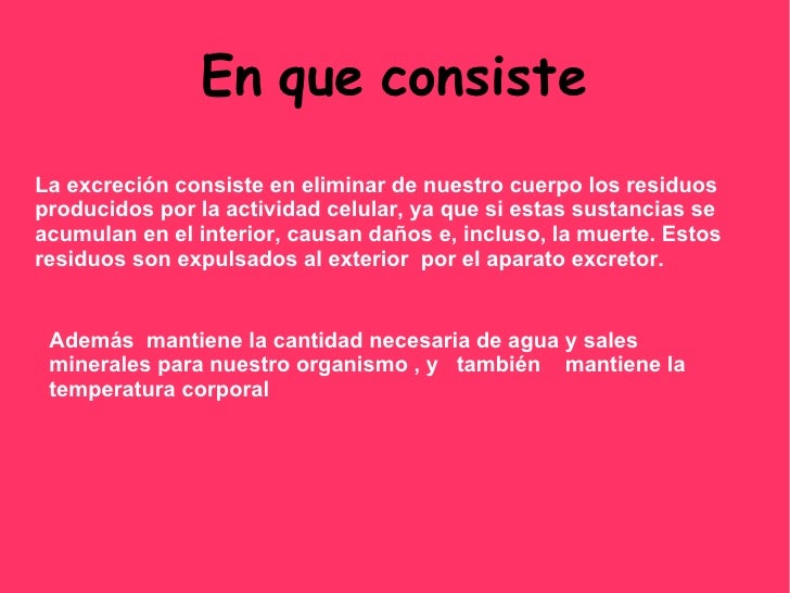 A P A R A T O E X C R E T O R A P A R A T O E X C R E T O R
