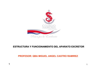 1 ESTRUCTURA Y FUNCIONAMIENTO DEL APARATO EXCRETOR PROFESOR: QBA MIGUEL ANGEL CASTRO RAMIREZ 