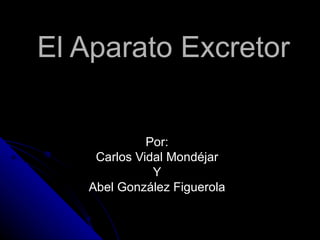 El Aparato Excretor Por: Carlos Vidal Mondéjar Y Abel González Figuerola 
