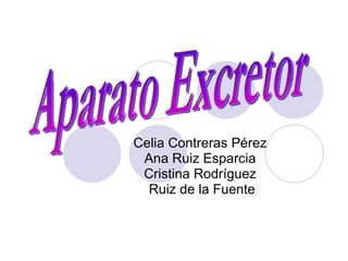 Celia Contreras Pérez Ana Ruiz Esparcia Cristina Rodríguez Ruiz de la Fuente Aparato Excretor 