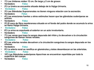 1ª) Los Uréteres miden 12 cm. De largo y 2 cm de grosor. Verdadero              Falso 2ª) La Uretra se encuentra situada debajo de la Vejiga Urinaria.   Verdadero              Falso 3ª) Las Glándulas Suprarrenales no tienen ninguna relación con la excreción. Verdadero             Falso 4ª) Las emociones fuertes u otros estímulos hacen que las glándulas sudoríparas se activen. Verdadero              Falso 5ª) El saco de fibra membranosa situado en el fondo del pubis donde se acumula la orina se llama Vejiga Urinaria.   Verdadero              Falso 6ª) La orina es expulsada al exterior en un acto involuntario. Verdadero              Falso 7ª) Las venas que traen la sangre depurada del riñón y la devuelven a la circulación sanguínea de llaman Venas renales.   Verdadero               Falso 8ª) Las arterias renales devuelven a la circulación sanguínea la sangre depurada en los riñones. Verdadero              Falso 9ª) La arteria renal se ramifica en glomérulos y éstos desembocan en las arteriolas.   Verdadero               Falso 10ª) Las Glándulas sudoríparas Apocrinas se encuentran repartidas por toda la superficie del cuerpo. Verdadero              Falso 