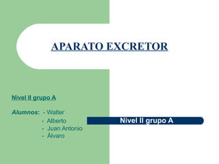 APARATO EXCRETOR Nivel II grupo A Alumnos :  - Walter -  Alberto  Nivel II grupo A -  Juan Antonio -  Álvaro 