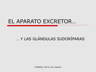 EL APARATO EXCRETOR…


  … Y LAS GLÁNDULAS SUDORÍPARAS




         COMBISOL CEIP EL SOL (Madrid)
 