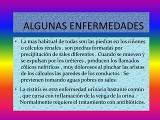 ALGUNAS ENFERMEDADES
• La mas habitual de todas son las piedras en los riñones
  o cálculos renales , son piedras formadas por
  precipitación de sales diferentes . Cuando se mueven y
  se expulsan por los uréteres , producen los llamados
  cólicos nefríticos , muy dolorosos al pinchar las aristas
  de los cálculos las paredes de los conductos . Se
  previenen tomando aguas pobres en sales.
• La cistitis es otra enfermedad urinaria bastante común
  , que cursa con inflamación de la vejiga de la orina .
  Normalmente requiere el tratamiento con antibióticos.
 