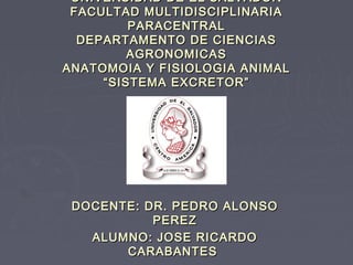 UNIVERSIDAD DE EL SALVADOR
 FACULTAD MULTIDISCIPLINARIA
         PARACENTRAL
  DEPARTAMENTO DE CIENCIAS
         AGRONOMICAS
ANATOMOIA Y FISIOLOGIA ANIMAL
     “SISTEMA EXCRETOR”




 DOCENTE: DR. PEDRO ALONSO
           PEREZ
   ALUMNO: JOSE RICARDO
       CARABANTES
 