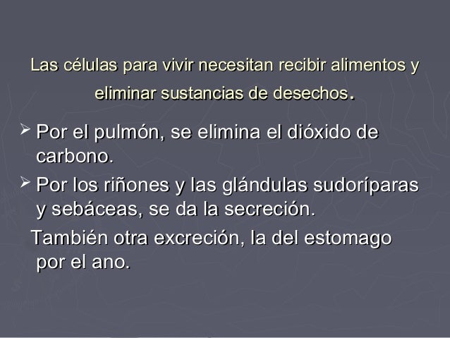 37 semanas se petrifican el vientre y duele los riñones