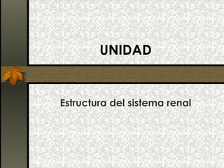 UNIDAD

Estructura del sistema renal

 