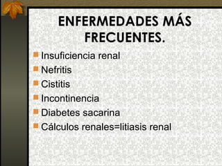 ENFERMEDADES MÁS
FRECUENTES.
 Insuficiencia renal
 Nefritis
 Cistitis
 Incontinencia
 Diabetes sacarina
 Cálculos renales=litiasis renal

 