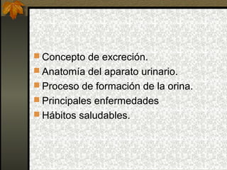  Concepto de excreción.
 Anatomía del aparato urinario.
 Proceso de formación de la orina.
 Principales enfermedades
 Hábitos saludables.

 