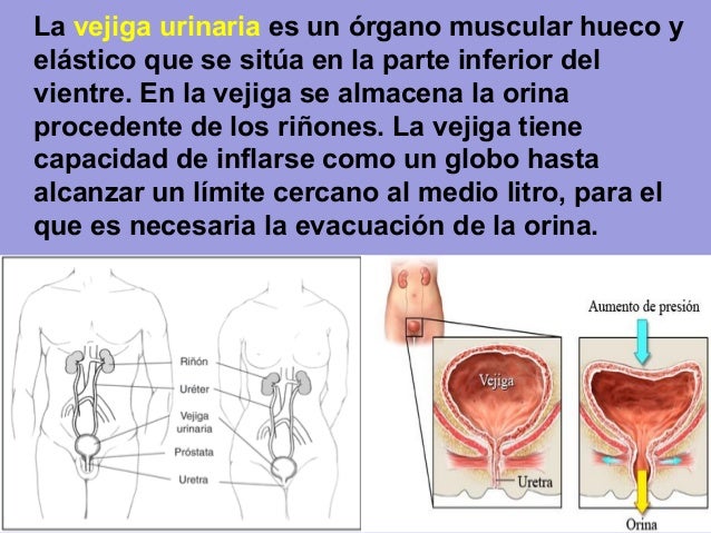 Como calmar el dolor al dolor en la espalda