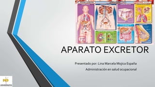 APARATO EXCRETOR
Presentado por: Lina Marcela Mojica España
Administración en salud ocupacional
 