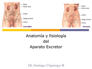Dr. Santiago Ulquiango B.
Anatomía y fisiología
del
Aparato Excretor
 