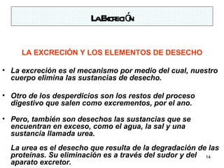L E eció
                         a xcr n

     LA EXCRECIÓN Y LOS ELEMENTOS DE DESECHO

• La excreción es el mecanismo por medio del cual, nuestro
  cuerpo elimina las sustancias de desecho.

• Otro de los desperdicios son los restos del proceso
  digestivo que salen como excrementos, por el ano.

• Pero, también son desechos las sustancias que se
  encuentran en exceso, como el agua, la sal y una
  sustancia llamada urea.
  La urea es el desecho que resulta de la degradación de las
  proteínas. Su eliminación es a través del sudor y del 14
  aparato excretor.
 