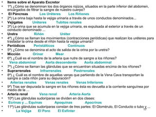 •   Items sobre el Aparato Excretor
•   1ª) ¿Cómo se denominan los dos órganos rojizos, situados en la parte inferior del abdomen,
    encargados de filtrar la sangre de nuestro cuerpo?
•    El Páncreas          Los Uréteres        Los Riñones
•   2ª) La orina baja hasta la vejiga urinaria a través de unos conductos denominados...
•   Vejigatos         Uréteres        Tubitos renales
•   3ª) La orina que se acumula en la vejiga urinaria, es expulsada al exterior a través de un
    conducto denominado ...
•   Uretra             Riñón            Uréter
•   4ª) ¿Cómo se llaman los movimientos (contracciones periódicas) que realizan los uréteres para
    trasladar la orina desde el riñón hasta la vejiga urinaria?
•   Periódicos         Peristálticos          Continuos
•   5ª) ¿Cómo se denomina el acto de salida de la orina por la uretra?
•   Micción           Orinar         Mear
•   6ª) ¿Cuál es el nombre de la arteria que nutre de sangre a los riñones?
•     Vena abdominal           Aorta descendente         Aorta abdominal
•   7ª) ¿Cómo se llaman las glándulas que se encuentran situadas encima de los riñones?
•   Suprarrenales          Infrarrenales           Postrrenales
•   8ª) ¿ Cuál es el nombre de aquellas venas que partiendo de la Vena Cava transportan la
    sangre a cada riñón para su depuración?
•     Arterias renales        Venas renales         Venas Inferiores
•   9ª) Tras ser depurada la sangre en los riñones ésta es devuelta a la corriente sanguínea por
    medio de la ...
•   Arteria renal         Vena renal           Arteria Aorta
•   10ª) Las glándulas sudoríparas se dividen en dos clases:
•    Ecrinas y ... Equinas           Apoquinas            Apocrinas
•   11ª) Las glándulas sudoríparas constan de tres partes: El Glomérulo, El Conducto o tubo y ...
•                                                                                              17
          La Vejiga      El Poro       El Esfínter
 