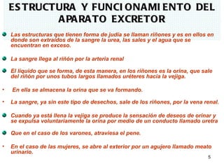 ES TRUCTURA Y FUNCI ONA MI ENTO DEL
            A PA RA TO EXCRETOR
    Las estructuras que tienen forma de judía se llaman riñones y es en ellos en
    donde son extraídos de la sangre la urea, las sales y el agua que se
    encuentran en exceso.

    La sangre llega al riñón por la arteria renal

    El líquido que se forma, de esta manera, en los riñones es la orina, que sale
    del riñón por unos tubos largos llamados uréteres hacia la vejiga.

•   En ella se almacena la orina que se va formando.

•   La sangre, ya sin este tipo de desechos, sale de los riñones, por la vena renal.

    Cuando ya está llena la vejiga se produce la sensación de deseos de orinar y
    se expulsa voluntariamente la orina por medio de un conducto llamado uretra

    Que en el caso de los varones, atraviesa el pene.

•   En el caso de las mujeres, se abre al exterior por un agujero llamado meato
    urinario.
                                                                               5
 