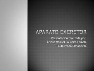 Aparato excretor Presentación realizada por: Álvaro Manuel Loureiro Lamela Paula Prado Cimadevila 