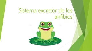 Sistema excretor de los
anfibios
 