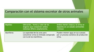 Comparación con el sistema excretor de otros animales
Reptiles Ubicación, forma y color de los
órganos que componen ambos
sistemas difiere ampliamente.
Ambos tienen cloaca y la orina se
deposita en un estado semisólido
cremoso
Mamíferos La capacidad de las aves para
concentrar orina es limitada comparada
con la de los mamíferos.
Pueden retener agua en sus cuerpos
por un proceso osmótico de producción
orina.
 